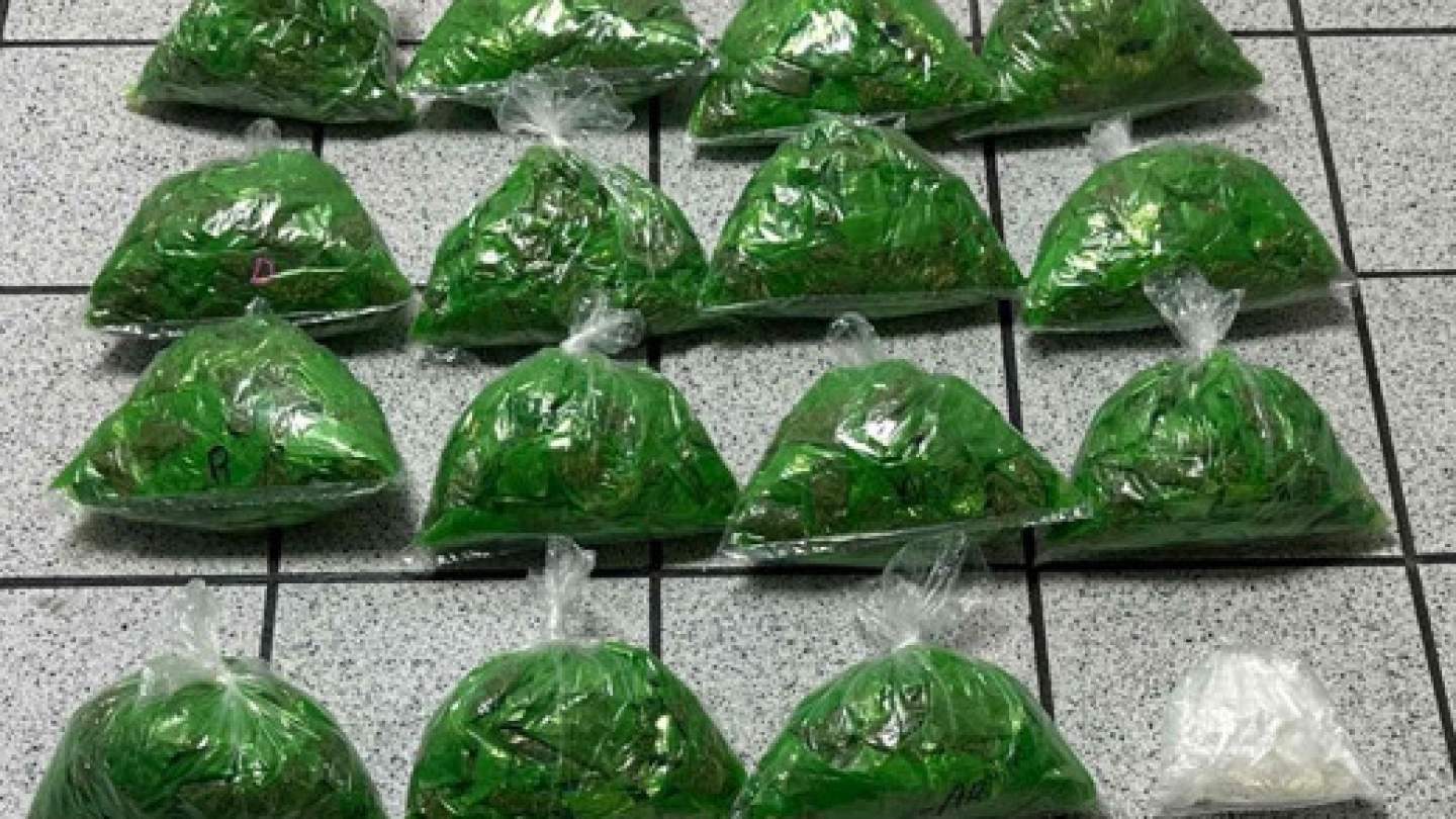 Policías especializados del Gobierno de Sonora logran resultados contra el narcomenudeo en Hermosillo